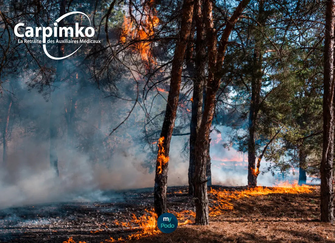 Incendies : les aides de la CARPIMKO pour les pédicures-podologues touchés My Podologie