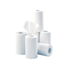 12 ruller glat papir med central afvikling - 200 formater - 21 x 35 cm - Euromédis