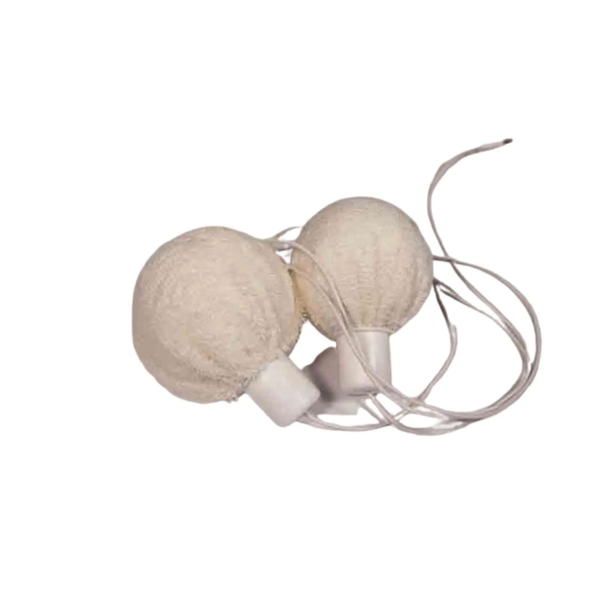 Axilla Electrodes Kit kompatibelt med I2m.A iontoforese-enheder - I2M Laboratoires I2M Laboratoires 