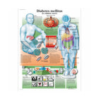 Anatomisk tavle - Diabetes - Anatomi og patologi